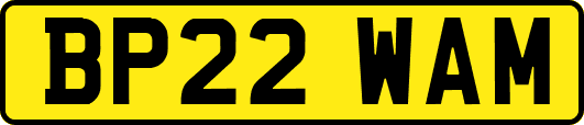 BP22WAM