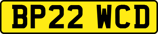 BP22WCD