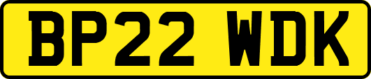 BP22WDK
