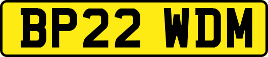 BP22WDM