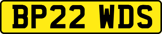 BP22WDS