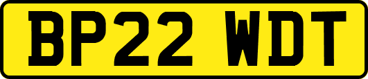 BP22WDT