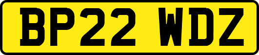 BP22WDZ