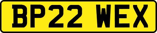 BP22WEX