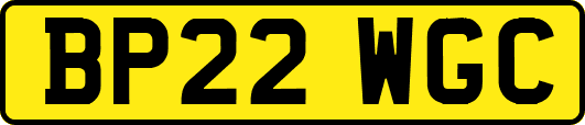 BP22WGC