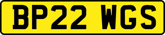 BP22WGS