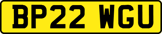 BP22WGU
