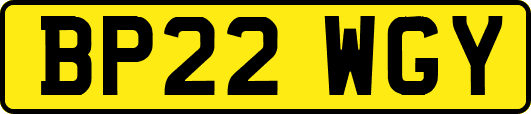 BP22WGY
