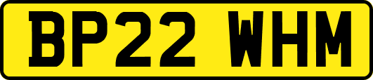 BP22WHM