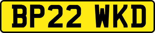 BP22WKD