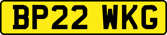 BP22WKG