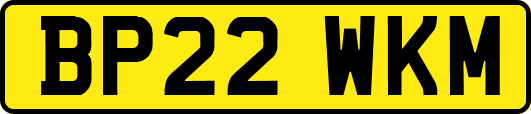 BP22WKM