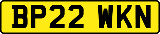 BP22WKN
