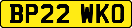 BP22WKO