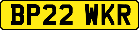 BP22WKR