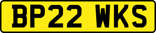 BP22WKS