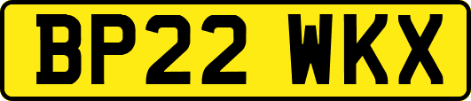 BP22WKX