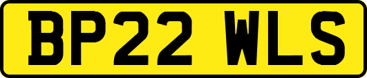BP22WLS