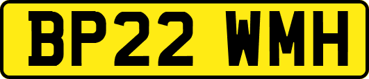 BP22WMH