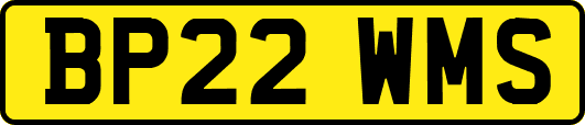 BP22WMS