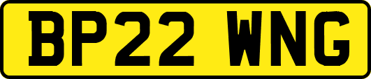BP22WNG