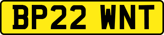 BP22WNT
