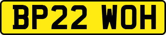 BP22WOH