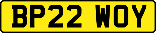 BP22WOY