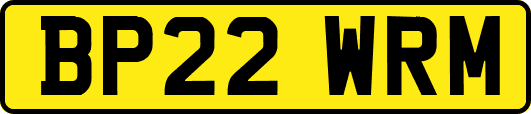 BP22WRM