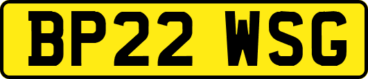 BP22WSG