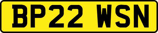 BP22WSN