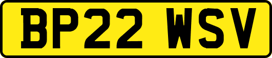 BP22WSV