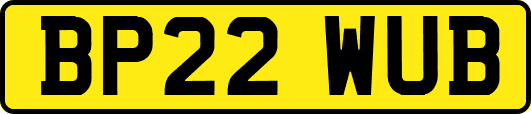 BP22WUB