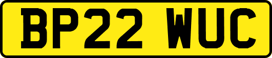 BP22WUC
