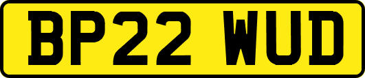 BP22WUD