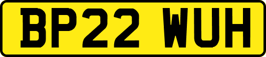 BP22WUH