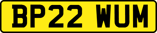 BP22WUM