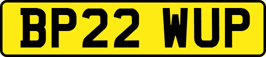BP22WUP