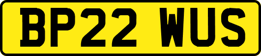 BP22WUS