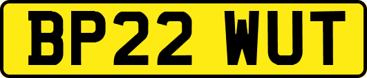 BP22WUT