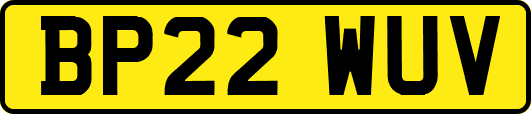 BP22WUV