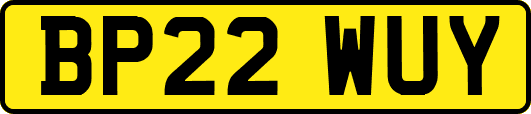 BP22WUY