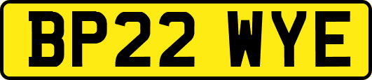 BP22WYE