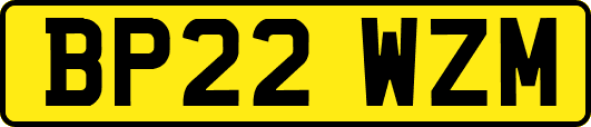 BP22WZM