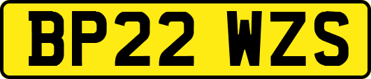 BP22WZS