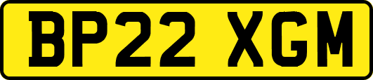 BP22XGM