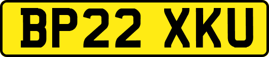 BP22XKU