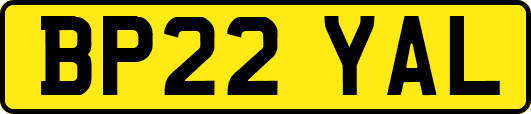 BP22YAL