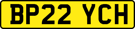 BP22YCH
