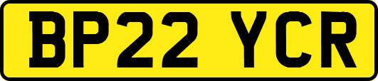 BP22YCR
